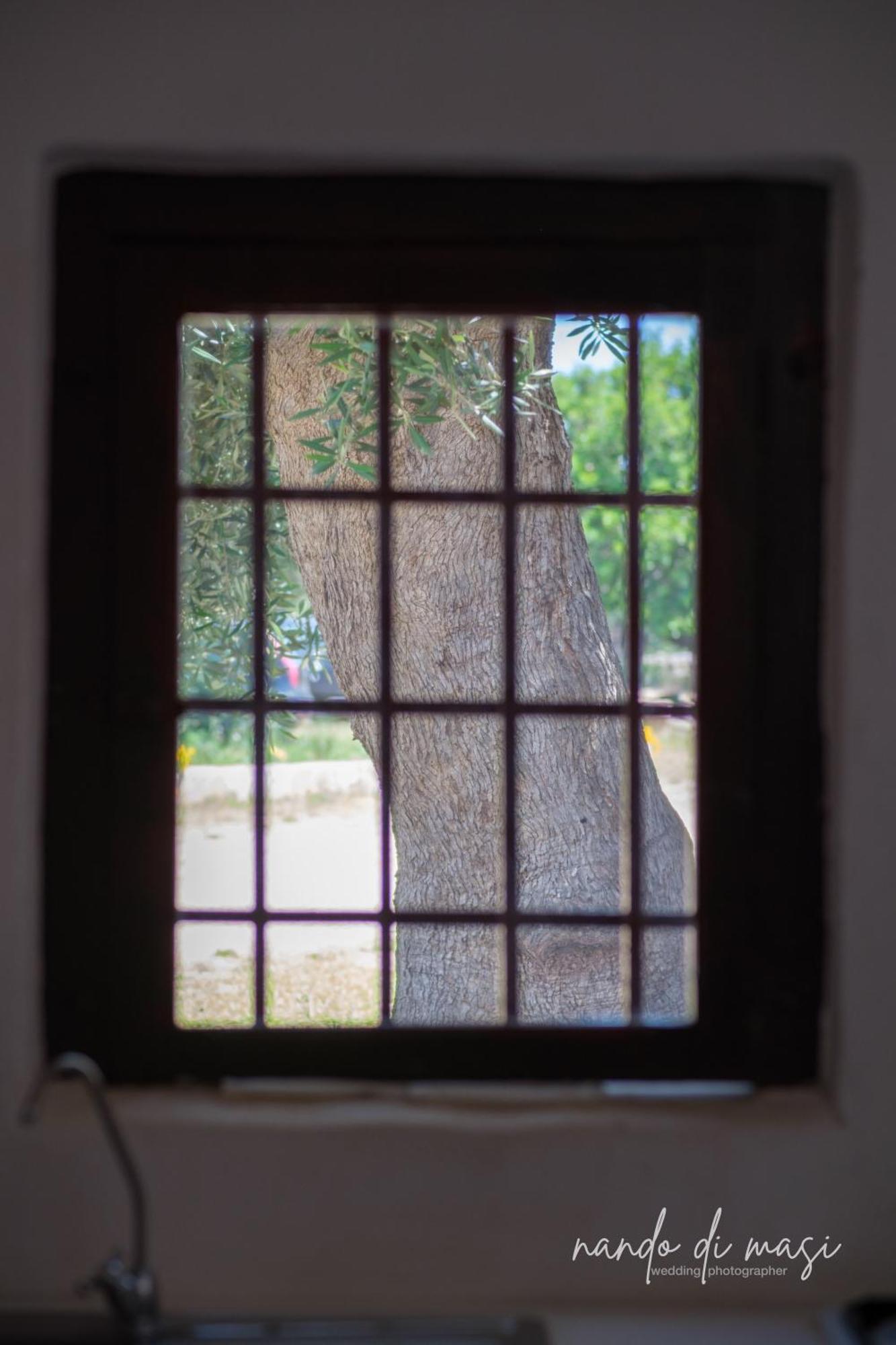 Gasthuis Rooms Masseria Giangrande *